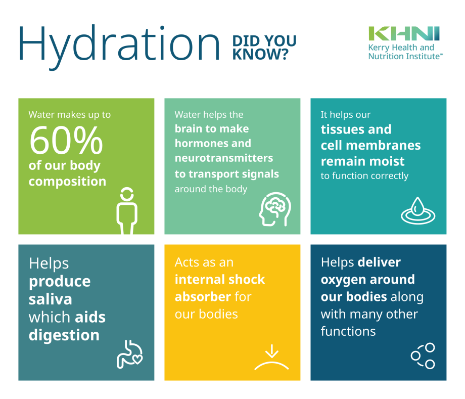 Understanding the Role of Hydration: A Deep Dive into Your Body's Silent Symphony