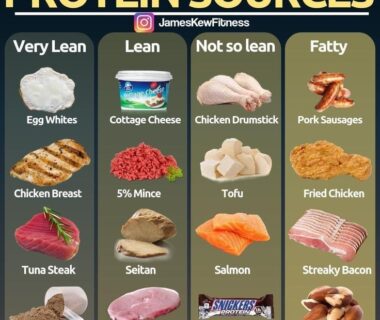 Top Protein Sources to Support Your Fitness Journey:  Unlocking the Secrets to Building Strength and Recovery