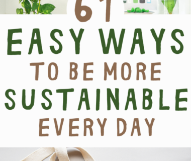 Building a Healthy, Sustainable Routine: Unveiling the Secrets to Lasting Change