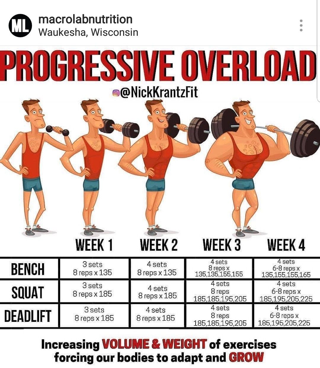 The Big Secret to Building Muscle: Progressive Overload Explained