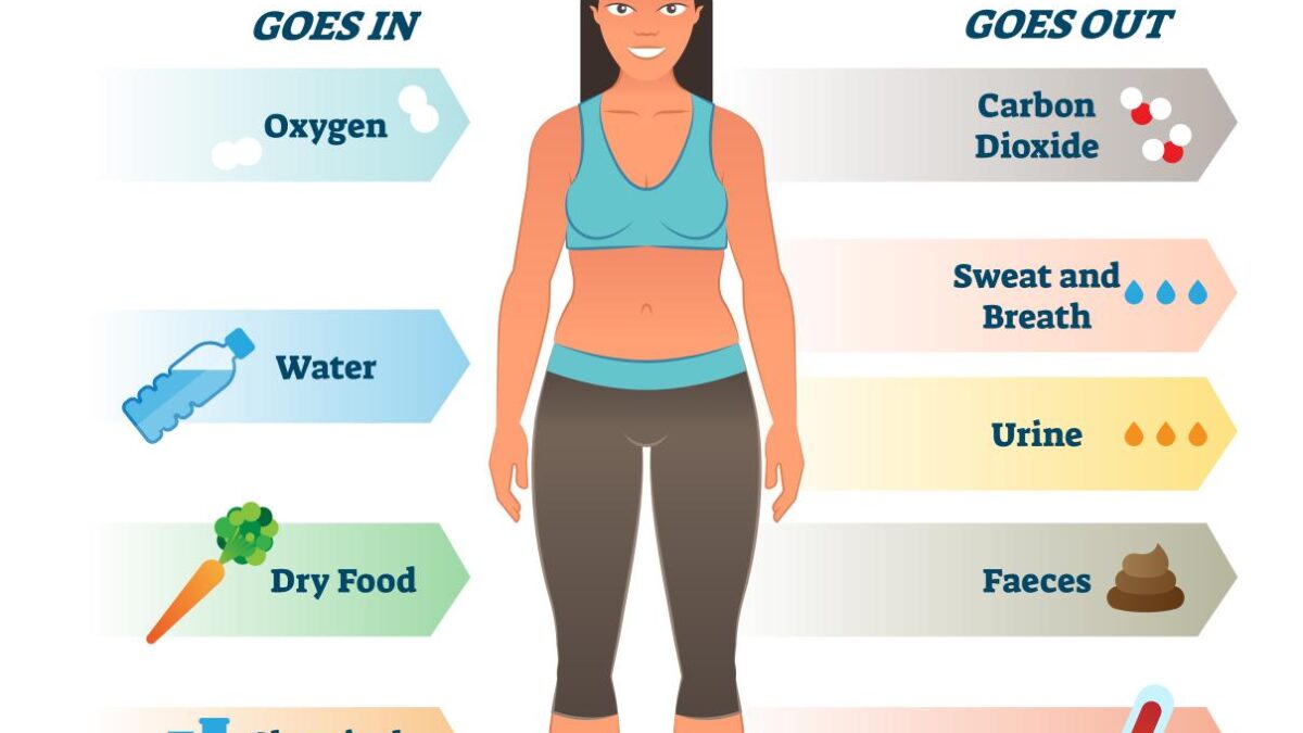 Simple Ways to Boost Your Metabolism: Unlock Your Body's Fat-Burning Potential