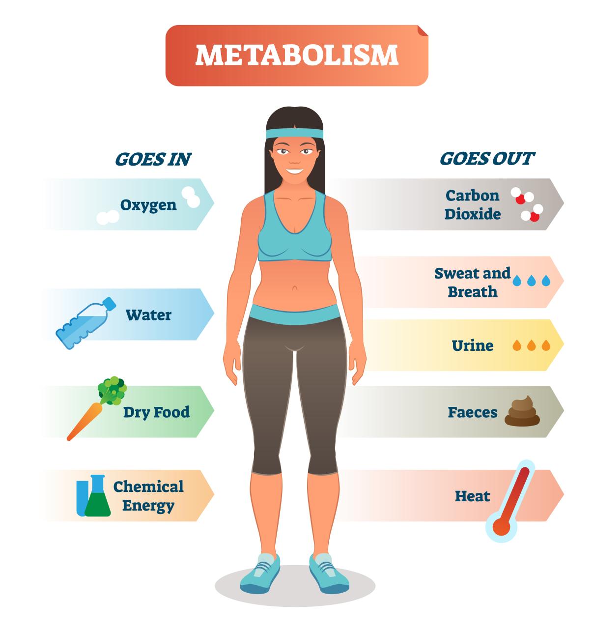 Simple Ways to Boost Your Metabolism: Unlock Your Body's Fat-Burning Potential