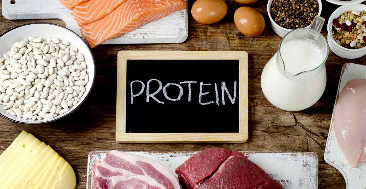 The Role of Protein in Your Fitness Journey: A Comprehensive Guide