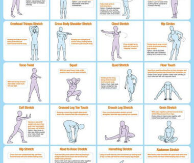 Unleash Your Recovery Potential: The Ultimate Guide to Stretching Routines